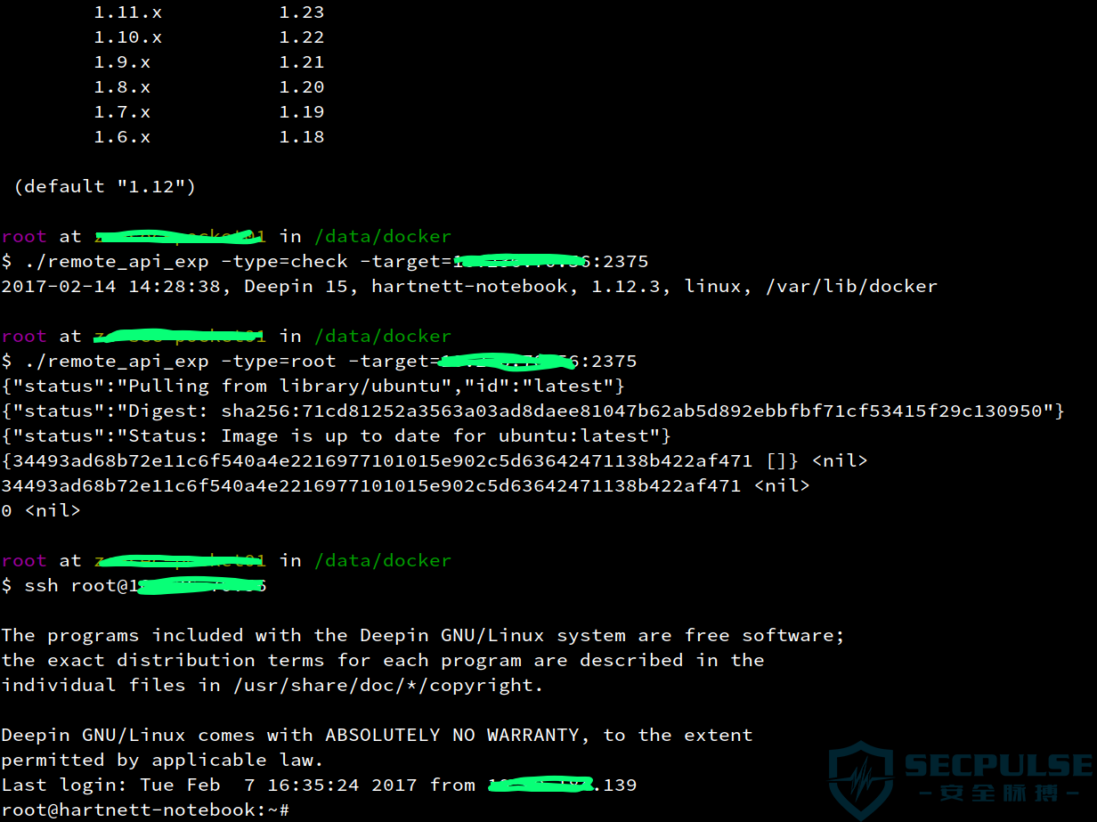 Docker Remote api在安全中的应用杂谈