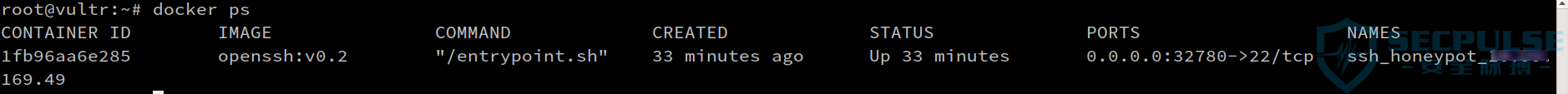 Docker Remote api在安全中的应用杂谈